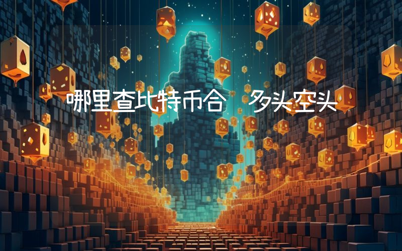 哪里查比特币合约多头空头